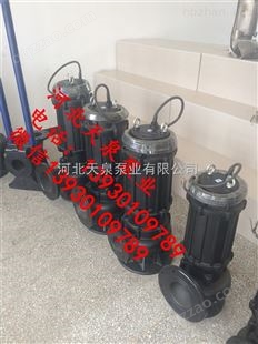潜水排污泵200WQ300-16-22_潜水泵zgyongxin