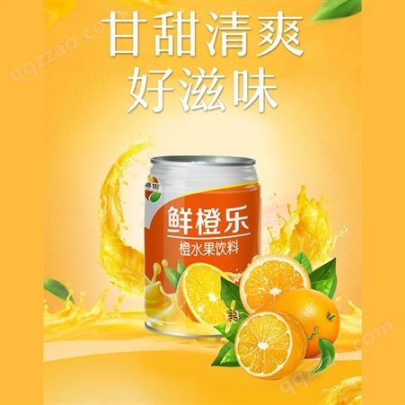 鲜橙乐橙水果饮料240ml易拉罐装果汁饮料商超渠道