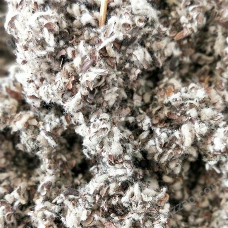 菌类种植用棉籽壳 油田堵漏用棉籽壳 有机肥原料
