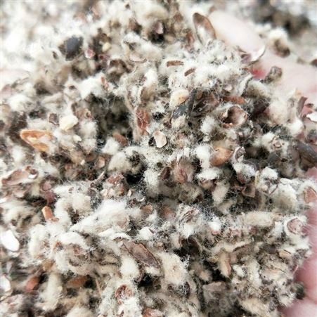 菌类种植用棉籽壳 油田堵漏用棉籽壳 有机肥原料