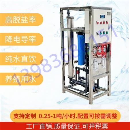 重庆小型RO反渗透净水设备 商用纯水机厨房食堂过滤直饮水机