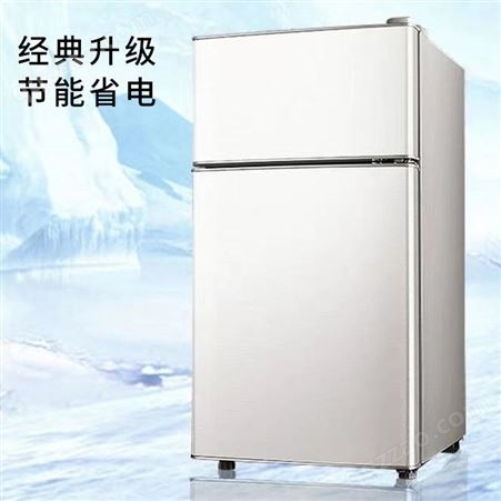 志高 电冰箱冷冻冷藏宿舍租房省电门小型迷你家用小冰箱