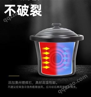 飞鹿10升电炖锅商用家用煮粥煲汤陶瓷隔水炖盅全自动大容量电砂锅