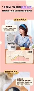 迷你电饭煲小型1-2-3人宿舍家用自动煮饭锅多功能预约3063