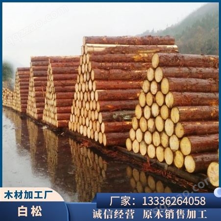恒拓 木方模板 河木桩用于工程建筑木料 原木樟子松工地用建筑方木
